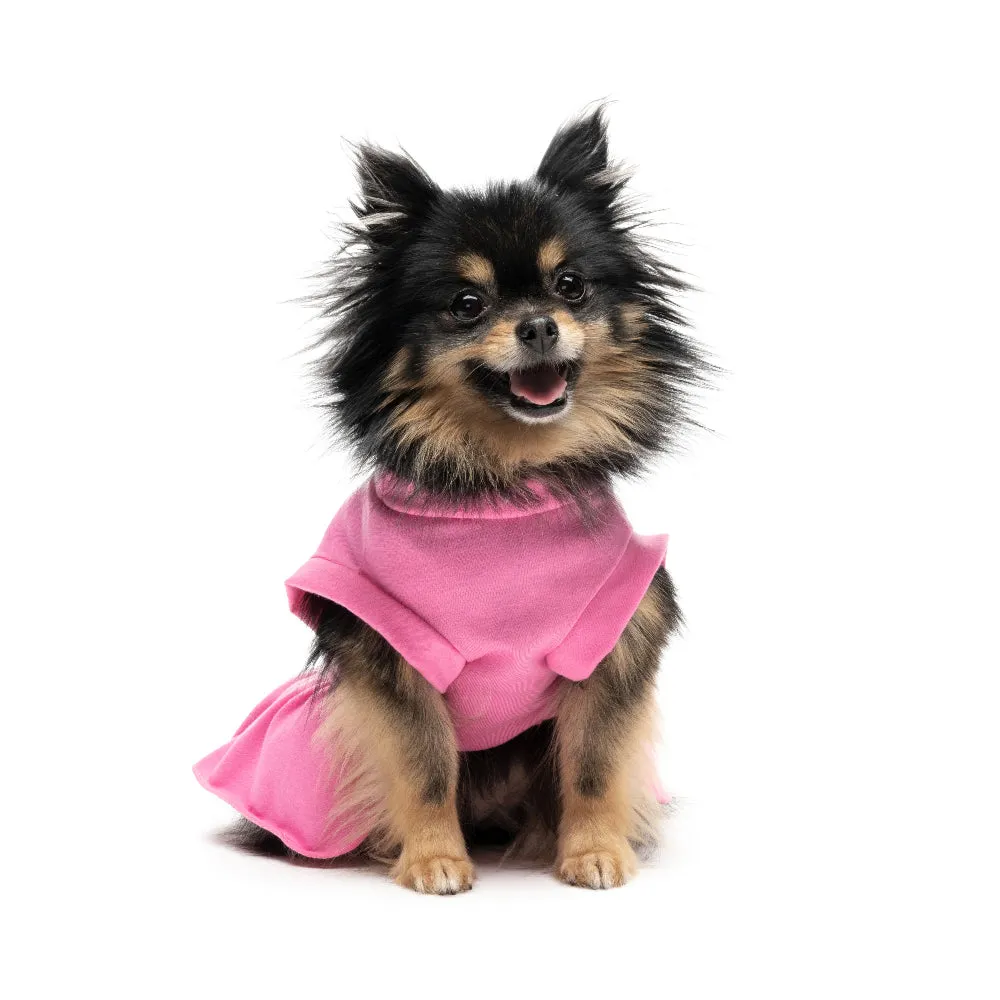 Cheer Pet Dress